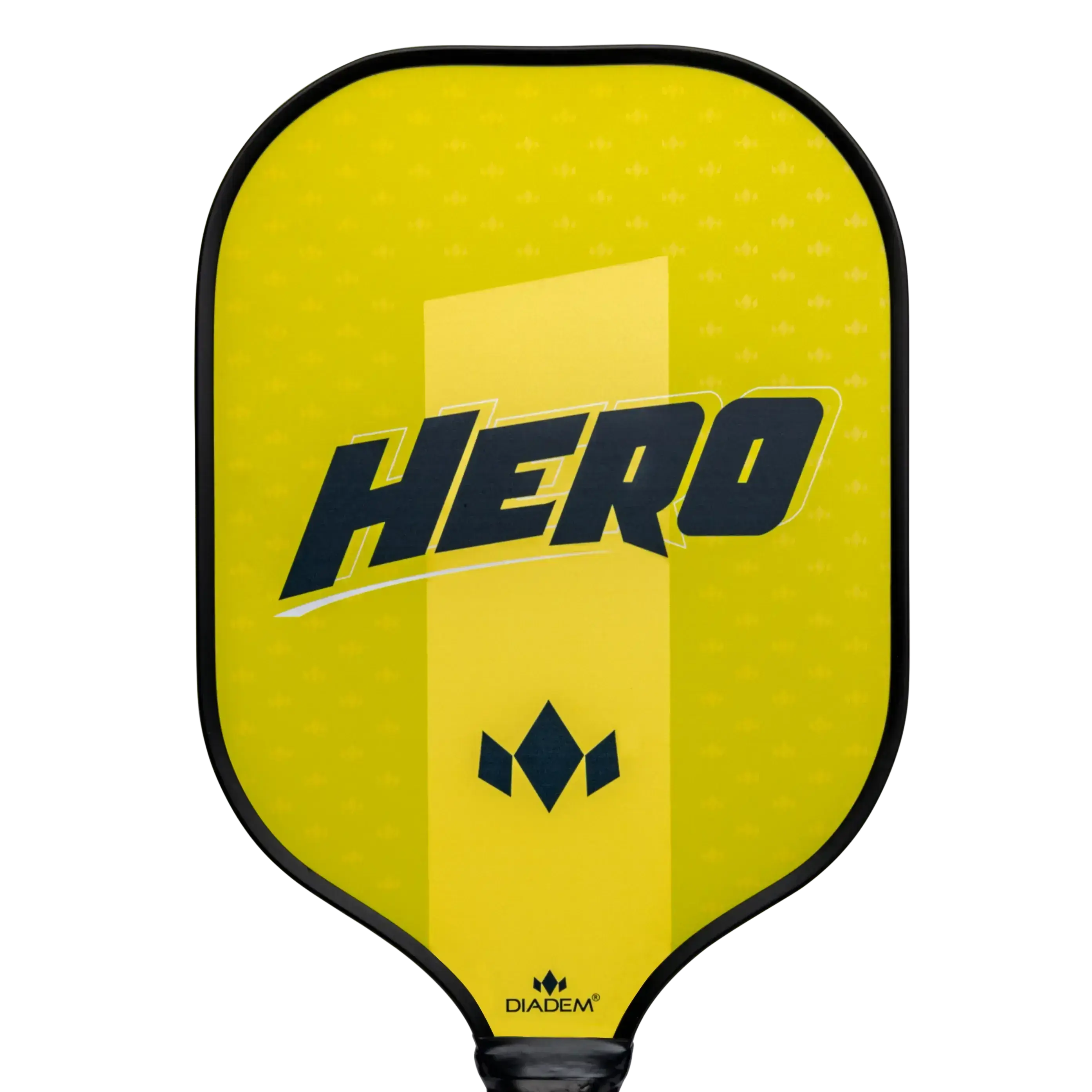 Diadem Pickleball Paddle Hero Starter Kit V2