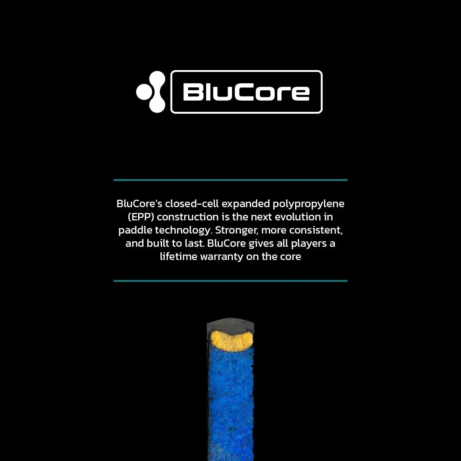 Diadem Pickleball Paddle Warrior Blucore V3 19mm Pro